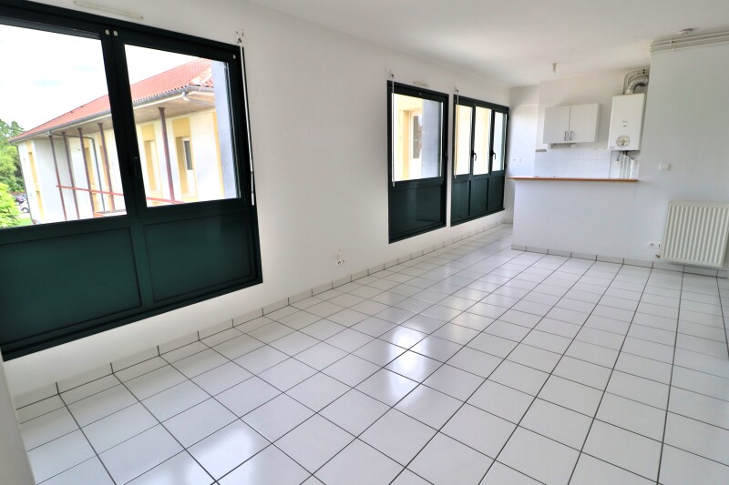 Damonte Location appartement - 9 rue de mathaux, BAR SUR AUBE - Ref n° 6861
